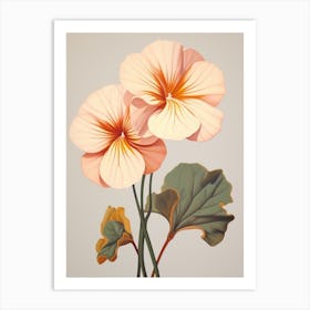 Floral Illustration Nasturtium 1 Art Print