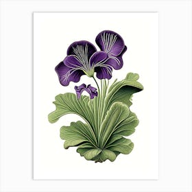 Marsh Violet Wildflower Vintage Botanical 2 Art Print