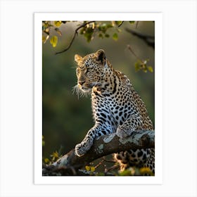 Leopard In A Tree Art Print