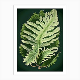 Soft Shield Fern 2 Vintage Botanical Poster Art Print