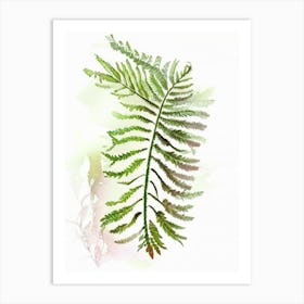 Interrupted Fern Wildflower Watercolour 1 Art Print