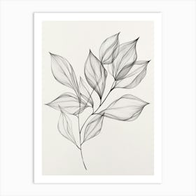 Leaf Drawing Art Print