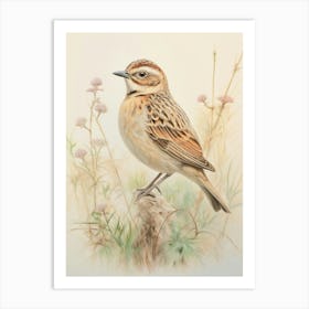 Vintage Bird Drawing Lark 3 Art Print