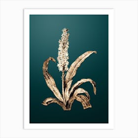 Gold Botanical Eucomis Punctata on Dark Teal n.2543 Art Print