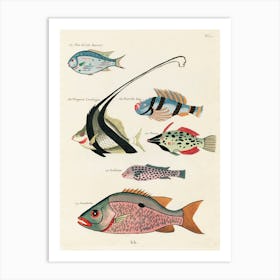 Colourful And Surreal Illustrations Of Fishes Found In Moluccas (Indonesia) And The East Indies, Louis Renard(75) Art Print