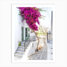 Bougainvillea In Paros Art Print