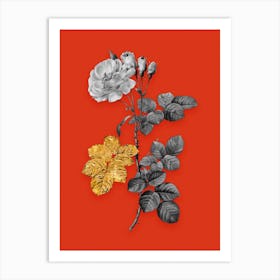 Vintage Damask Rose Black and White Gold Leaf Floral Art on Tomato Red n.0837 Art Print