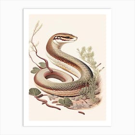 Rough Earth Snake Vintage Art Print