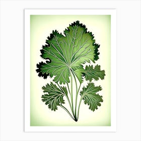 Parsley Leaf Vintage Botanical Art Print