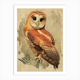 Australian Masked Owl Vintage Illustration 3 Art Print