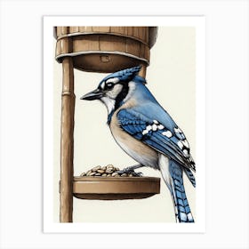 Blue Jay Art Print