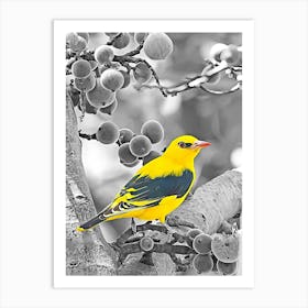 Yellow Bird In A Tree 1 Art Print