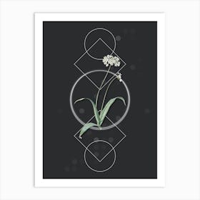 Vintage Spring Garlic Botanical with Geometric Line Motif and Dot Pattern n.0081 Art Print