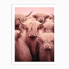 Heard Of Highland Cows Pink Realistic Photography 1 Art Print