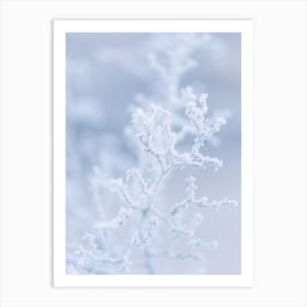 Frozen Twigs Winter Art Print