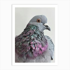 Pigeon 1 Art Print