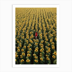 Sunflowers 73 Art Print