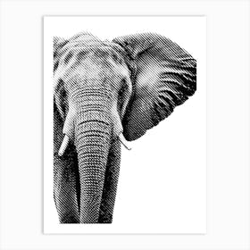 Elephant Line Art 2 Art Print