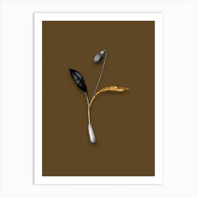 Vintage Erythronium Black and White Gold Leaf Floral Art on Coffee Brown n.0143 Art Print