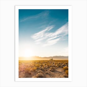 Nevada Desert Sunrise Art Print