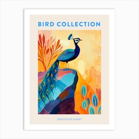 Peacock On A Cliff At Sunset Poster Art Print