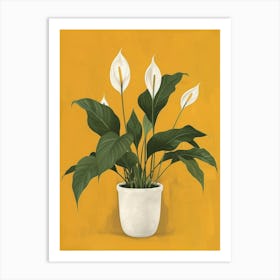 Peace Lily Canvas Print Art Print