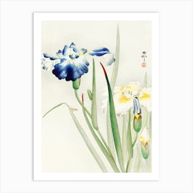 Irises (1900 1936), Ohara Koson Art Print