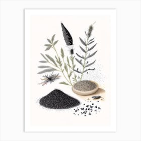 Black Sesame Spices And Herbs Pencil Illustration 4 Art Print