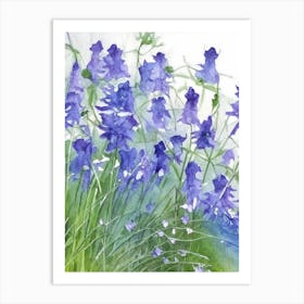 Mountain Bluebells Wildflower Watercolour 2 Art Print