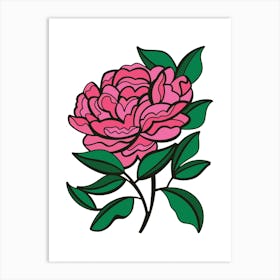 Pink Peony Contemporary Botanical Illustration Art Print