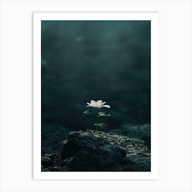 Flower In The Water 7 Art Print