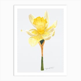 Daffodil 2 Poster