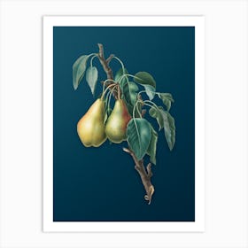 Vintage Lemon Pear Botanical Art on Teal Blue n.0923 Art Print