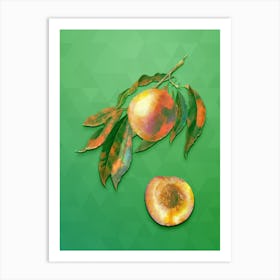 Vintage Peach Botanical Art on Classic Green n.0757 Art Print