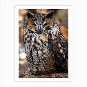 Owl In The Woods Art Print