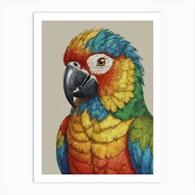 Colorful Parrot 40 Art Print