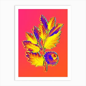 Neon Valonia Oak Botanical in Hot Pink and Electric Blue n.0511 Art Print