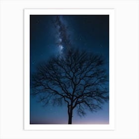 Tree At Night Art Print