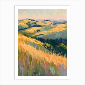 California Sunset Art Print