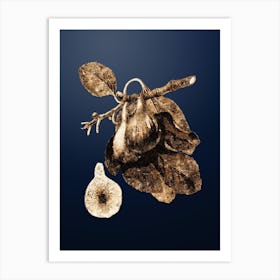 Gold Botanical Fig on Midnight Navy n.4336 Art Print