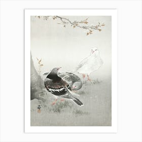 Three Pigeons (1900 1930), Ohara Koson Art Print