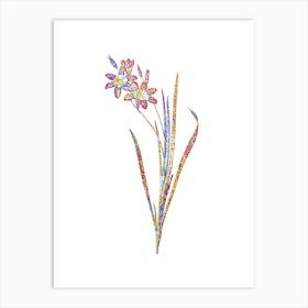 Stained Glass Ixia Tricolor Mosaic Botanical Illustration on White n.0117 Art Print