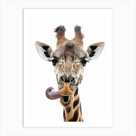 Giraffe With Tongue Sticking Out Photo Art Print