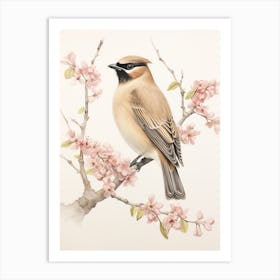 Vintage Bird Drawing Cedar Waxwing 3 Art Print