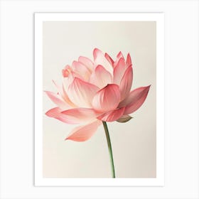 Poster Pink Beauty 1 Art Print