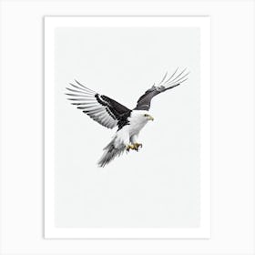 Eagle B&W Pencil Drawing 3 Bird Art Print