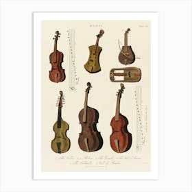 Stringed Instruments Art Print