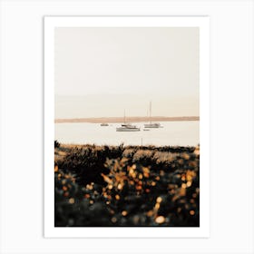 Sailboat At Sunset Art Print