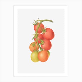 Cherry Tomato Art Print