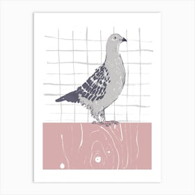 Homing Pigeon Art Print